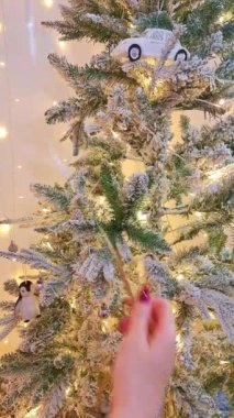 Noel ağacının Noel dekorunu kapat. Yüksek kalite 4k görüntü
