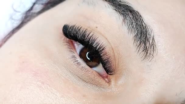 Close Eyelash Extensions Beauty Salon Macro Eye Volume Volume Russian — Stock Video