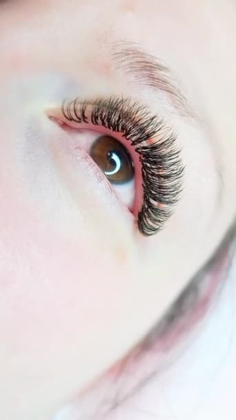 Close Eye Eyelash Extensions Beauty Salon Treatment Macro View Vertical — Stock Video