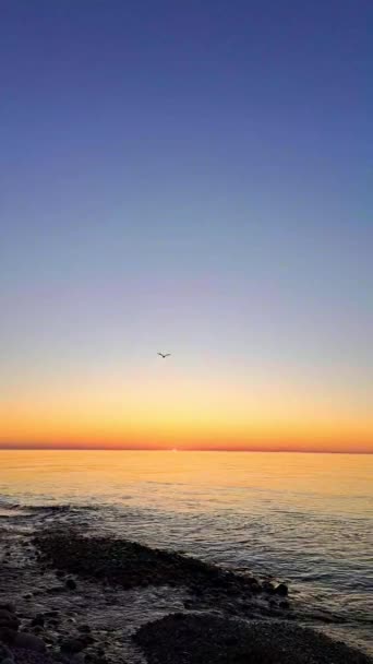 Wunderschöne Goldene Meereslandschaft Sonnenuntergang — Stockvideo