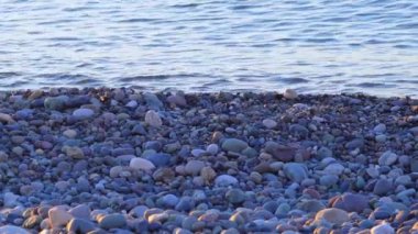 Çakıl taşı plajı ve mavi deniz arka planı, Batumi, Georgia