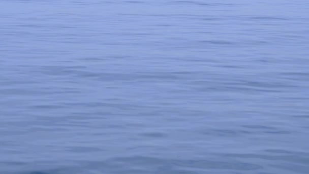 Azul Mar Agua Estructura Fondo Copia Espacio — Vídeo de stock