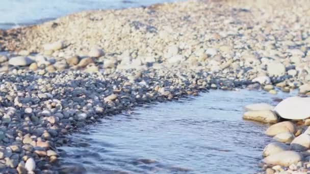 Stenstrand Och Blå Havet Bakgrund Batumi Georgien — Stockvideo