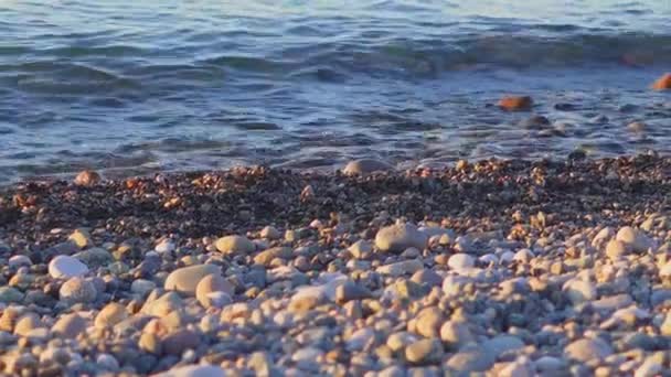 Pebble Beach Blue Sea Background Batumi Georgia — Stock Video