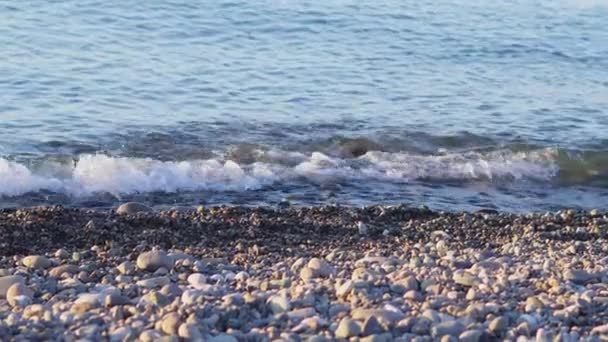 格鲁吉亚巴统卵石滩和蓝色海背景 — 图库视频影像