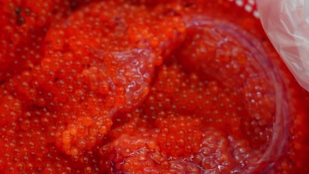 Închiderea Caviarului Roșu Peștilor Somon — Videoclip de stoc