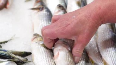 Piyasada farklı türde deniz balığı satılıyor.