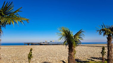 Tropikal çakıl taşı plajı ve mavi deniz, tatil konsepti.