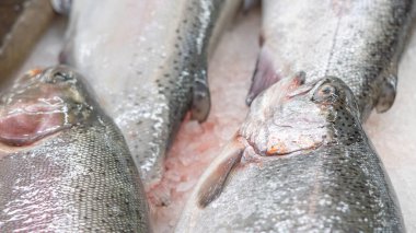 Deniz ürünleri pazarında buz üstünde taze balık..