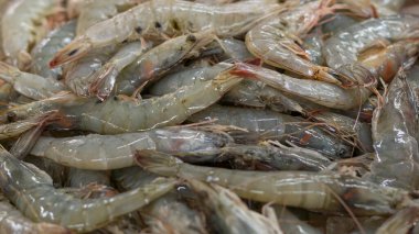 Deniz ürünleri pazarında buz üstünde taze balık..