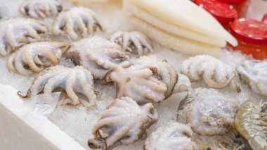 Deniz ürünleri pazarında buz üstünde taze balık..