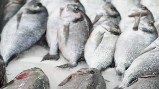Trhu Prodávají Různé Druhy Mořských Ryb Vysoce Kvalitní Záběry — Stock video