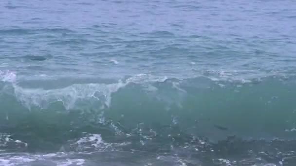 Video Olas Turbulentas Estrellándose Mar Tormentoso Capturado Día Sombrío — Vídeo de stock