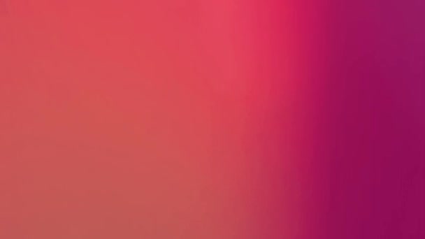 Яркий Пурпурный Фон Создает Почву Всплеска Летних Красок Вызывая Тепло — стоковое видео