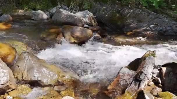 Gyönyörű Vízesés Hegyekben Nyáron Gyors Sikolyok — Stock videók