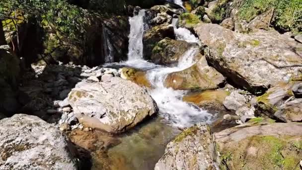 Beautiful Waterfall Mountains Summer Fast Sreams — Stock Video