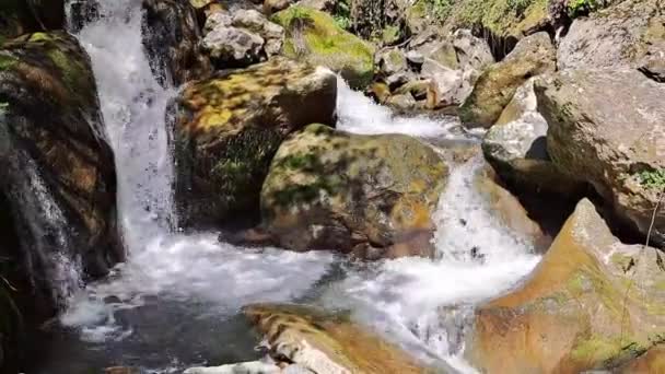 Hermosa Cascada Las Montañas Verano Sreams Rápidos — Vídeos de Stock