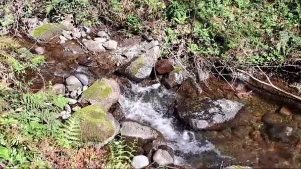 Krásný Vodopád Horách Létě Rychlé Sreams — Stock video