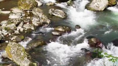 Kristal berraklığında akarsu kayalık dağ yamacından aşağı akar ve büyüleyici bir şelale oluşturur. .