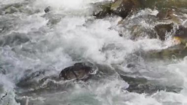 Kristal berraklığında akarsu kayalık dağ yamacından aşağı akar ve büyüleyici bir şelale oluşturur. .