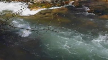 Kristal berraklığında akarsu kayalık dağ yamacından aşağı akar ve büyüleyici bir şelale oluşturur. .