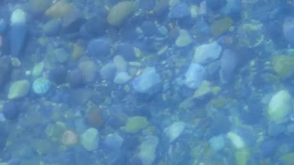 Funkelnd Auf Dem Sonnenblauen Meeresgrund Hochwertiges Filmmaterial — Stockvideo