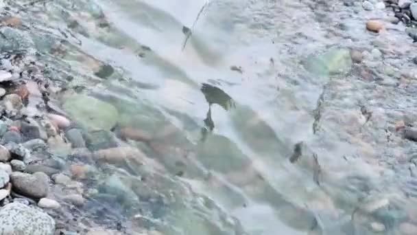 Pahalı Dağ Akıntısı Pürüzsüz Renkli Çakıl Taşları Üzerinde Akıyor Yüksek — Stok video