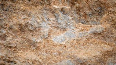 .Sandy kariyer arka planı: Kum tepecikli çöl manzarası.