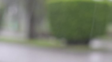 Şiddetli yağmura yakın, kötü hava tahmini.