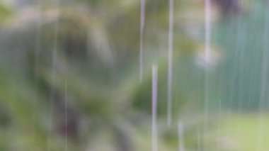 Şiddetli yağmura yakın, kötü hava tahmini.