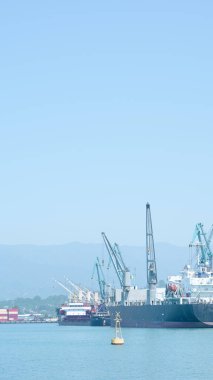 Açık bir gökyüzü altında, hareketli ve meşgul gemiler ve vinçlerle dolu liman.