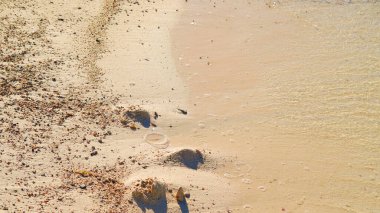 Pürüzsüz kumsal arka planı, ince tanecikler, doğal doku, sıcak altın tonlar..