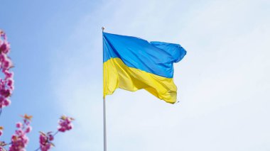 Sakura çiçekli Ukrayna bayrağı yeniden doğuşun ve umudun güzelliğini yakalıyor.