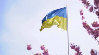 Mavi gökyüzündeki parlak Ukrayna bayrağı kültürel kimliğini ve benliğini ifade ediyor