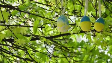 Ulusal renk tarzında ağaç dallarında asılı renkli Paskalya yumurtaları