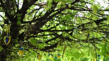 Ulusal renk tarzında ağaç dallarında asılı renkli Paskalya yumurtaları