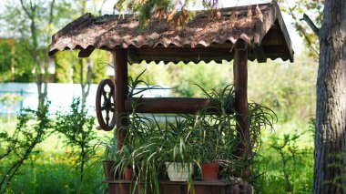 Renkli saksı bitkileri yeşillik dolu rahat bir bahçe atmosferi yaratıyor.