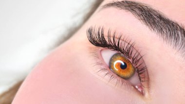 Kirpik uzatmalı kadın gözünü kapat, kirpik uzatma prosedürü. 2d hacim, 3d hacim, klasik kirpikler, Rus hacmi, mega hacim, yeni set..