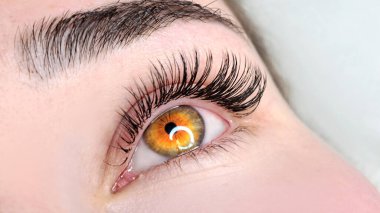 Kirpik uzatmalı kadın gözünü kapat, kirpik uzatma prosedürü. 2d hacim, 3d hacim, klasik kirpikler, Rus hacmi, mega hacim, yeni set..