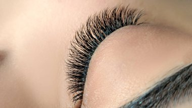 Kirpik uzatmalı kadın gözünü kapat, kirpik uzatma prosedürü. 2d hacim, 3d hacim, klasik kirpikler, Rus hacmi, mega hacim, yeni set..