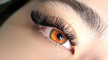 Kirpik uzatmalı kadın gözünü kapat, kirpik uzatma prosedürü. 2d hacim, 3d hacim, klasik kirpikler, Rus hacmi, mega hacim, yeni set..