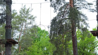 Huzurlu çam ormanına kurulmuş boş çocuk halat parkı..