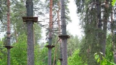 Çam ormanlarındaki boş halat parkı çocukların açık hava aktiviteleri için tasarlandı..