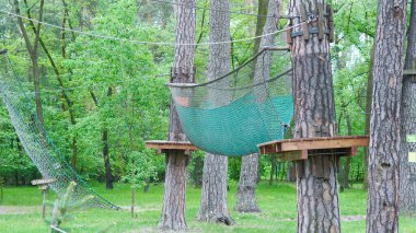 Huzurlu çam ormanına kurulmuş boş çocuk halat parkı..