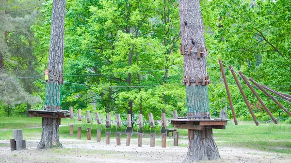 Çam ormanlarında çocuklar için güvenli tırmanış eğlencesi sunan bir kurs..