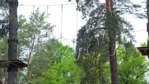 Huzurlu çam ormanına kurulmuş boş çocuk halat parkı..