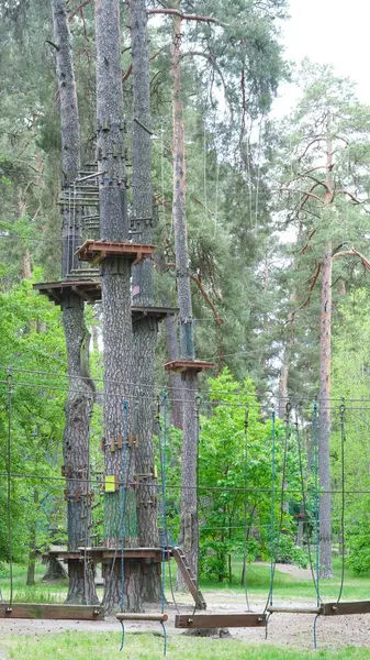 Çam ormanlarındaki boş halat parkı çocukların açık hava aktiviteleri için tasarlandı..