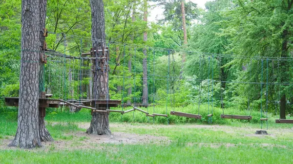 Çam ormanlarındaki boş halat parkı çocukların açık hava aktiviteleri için tasarlandı..
