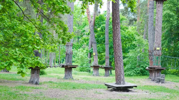 Çocuk halatı macera parkı sakin çam ormanları.