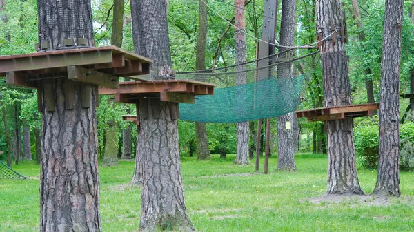 Çam ağaçlarının arasında çocuk aktiviteleri için tasarlanmış açık hava halat parkı.